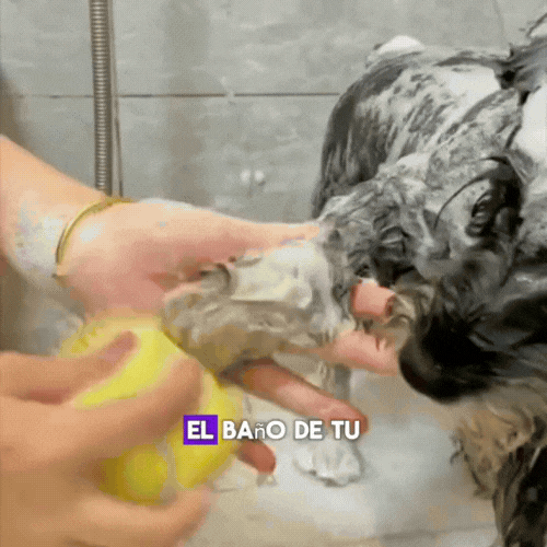 CEPILLO CORPORAL CON DISPENSADOR PARA MASCOTA