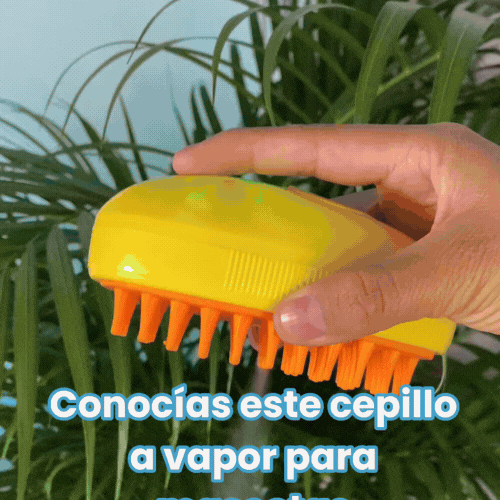 CEPILLO A VAPOR PARA MASCOTAS 3 EN 1 X 2 UNID