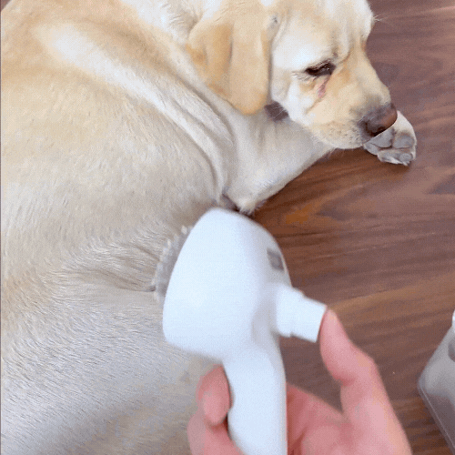 CEPILLO DE MASCOTAS A VAPOR🐾✨